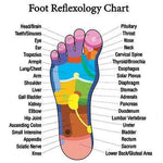 Acupressure Foot Massage Slippers - Dgitrends