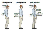 Back Support Brace And Posture Corrector, Back Support Brace And Posture Corrector - Dgitrends