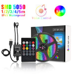 Remote LED Lights Strip Kit - Dgitrends