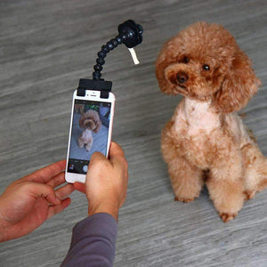 Pet Selfie Stick - Dgitrends